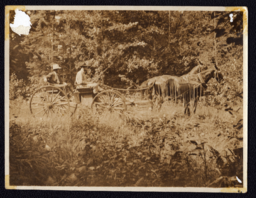 Tom Wilcox and Unknown Man in Horse-Drawn Cart