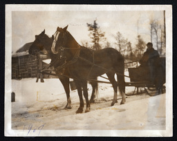 Man in Horse-Drawn Sleigh