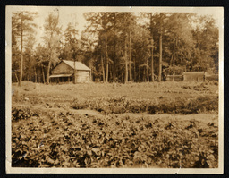 Field and Log Cabin