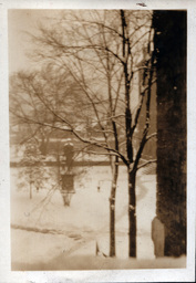 Snowy View from Window