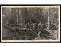 Men at Logging Site in Woods