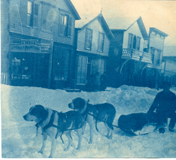 Mail Carrier and dog-train