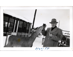 Man Feeding Deer