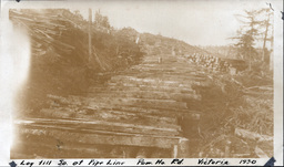 Log Fill for the Victoria Powerhouse