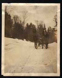 Front View of Horses Pulling Sleigh