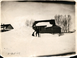 Man with Dog and Pole next to Snow Bank