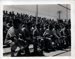 Gardner Field Flyers Dugout and Audience