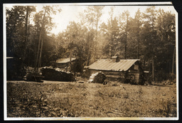 Log Cabins in Woods