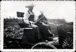 Two Boys in Small Horse-Drawn Hay Cart