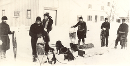 Mail carriers with sled dogs