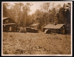 Log Cabins and Logs in Woods