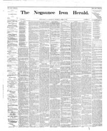 Negaunee Iron Herald, 1875-04-29