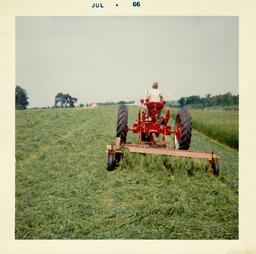 Raking Hay