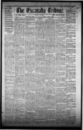 The Escanaba Tribune, 1871-06-24