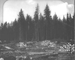 Logging in Marquette County, Michigan