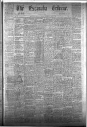 The Escanaba Tribune, 1873-06-07