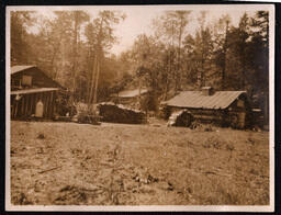 Log Cabins and Logs in Woods