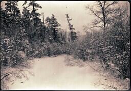 (023-013) Field and Forest in Winter (1 of 4)