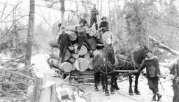 Sleigh load of logs (2 of 2)