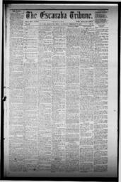 The Escanaba Tribune, 1872-02-17