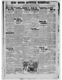 The Delta County Reporter, 1920-07-29