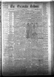 The Escanaba Tribune, 1873-06-28