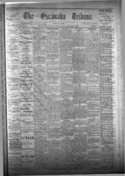 The Escanaba Tribune, 1875-12-25