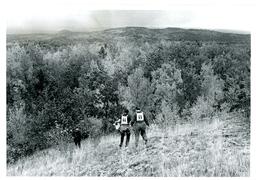 Two People with Numbers on their Backs Going Down Hill into Woods (Part of the NMU Historic Photographs Collection)