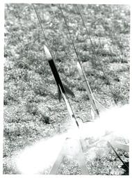 Three Model Rockets Launching (Part of the NMU Historic Photographs Collection)