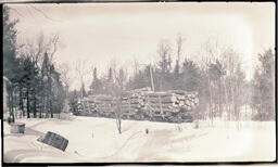 Log Trailers on Trail